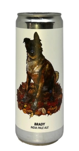 BIERE SUÈDE BREWSKI BRADY IPA CANS 6% 33CL