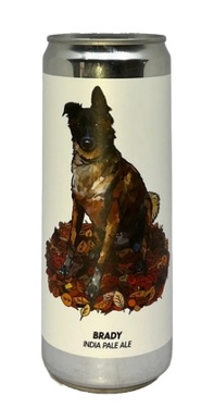 Biere SuÈde Brewski Brady Ipa Cans 6% 33cl