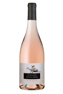 Igp Ile Beaute Rose Puntaloppia 2024