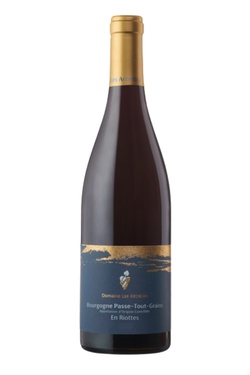 Aop Bourgogne Passe-tout-grains La Riotte Domaine Les Astrelles 2023 Bio