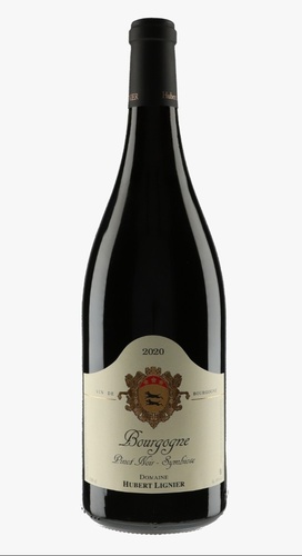 AOP BOURGOGNE PINOT NOIR SYMBIOSE DOMAINE HUBERT LIGNIER 2020 75CL